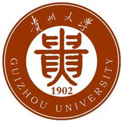 Ժ͑